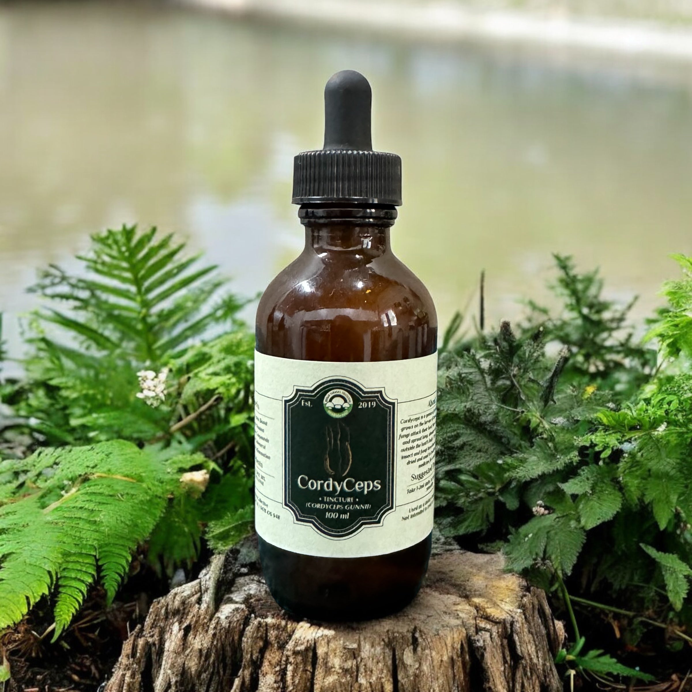 Magical Mushroom Tinctures