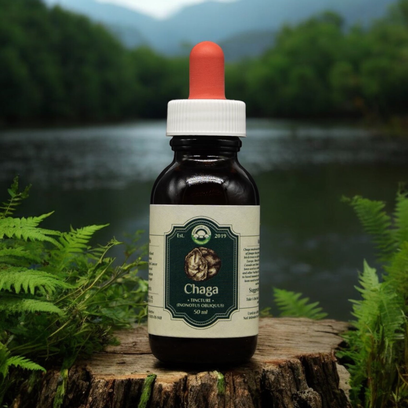 Magical Mushroom Tinctures